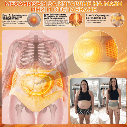 Официален магазин |💫👙 𝐏𝐀𝐔𝐑𝐀𝐉𝐔® 𝟐𝟎𝟐𝟔 МОРИНГА И БЕРБЕРИН 4 B 1 Къси Панталони За Скулптуриране С Микрочастици И Изгаряне На Мазнини